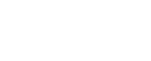 Consilium Agilis - Die Projektrettung